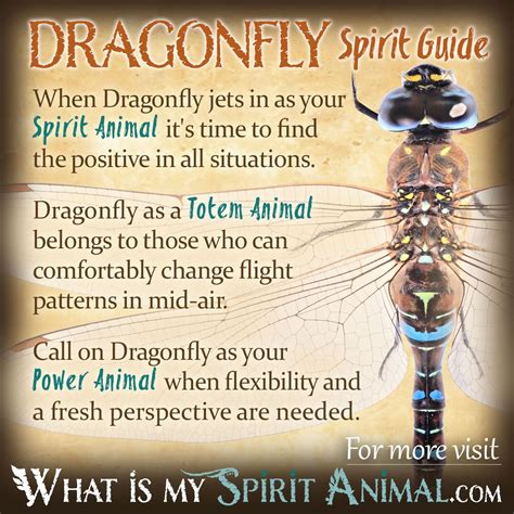 significance of dragonfly tattoo|dragonfly spirit animal meaning.